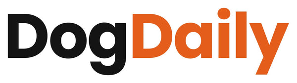 DailyDog LLC