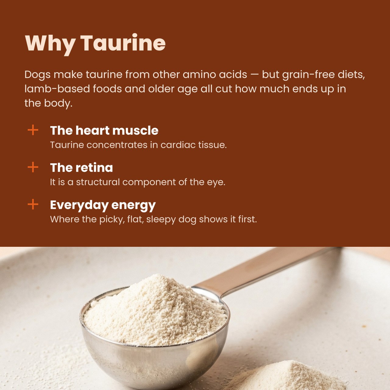 Taurine Complex for Dogs (200g)