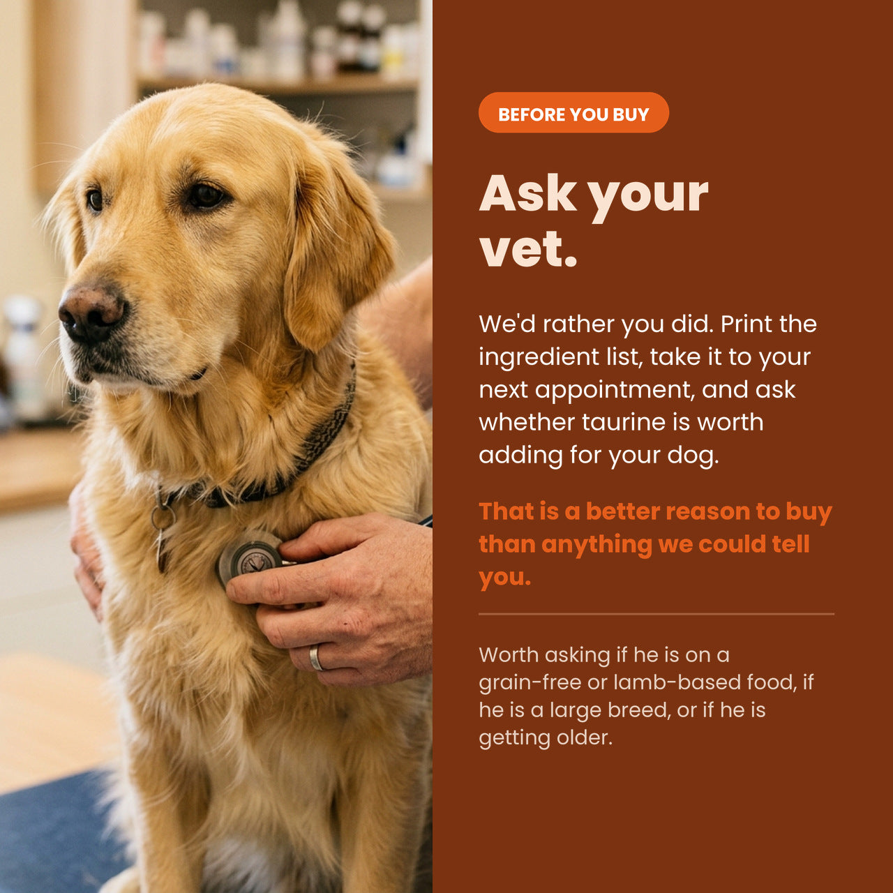 Ask your vet whether taurine is worth adding for your dog
